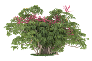 forêt réaliste isolée sur fond transparent. rendu 3d - illustration png