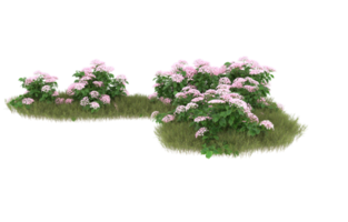 Realistic foliage isolated on transparent background. 3d rendering - illustration png