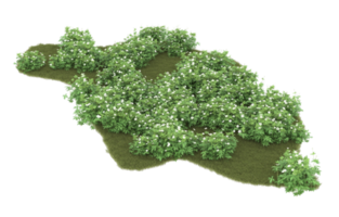 Realistic foliage isolated on transparent background. 3d rendering - illustration png