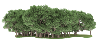 forêt réaliste isolée sur fond transparent. rendu 3d - illustration png