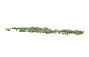 Realistic foliage isolated on transparent background. 3d rendering - illustration png