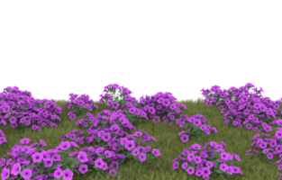 Realistic foliage isolated on transparent background. 3d rendering - illustration png