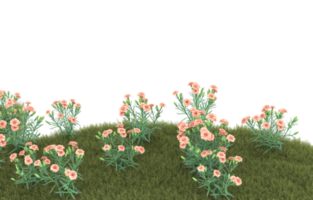 Realistic foliage isolated on transparent background. 3d rendering - illustration png