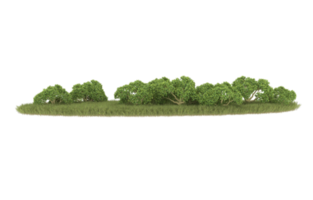 Realistic foliage isolated on transparent background. 3d rendering - illustration png