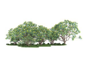 forêt réaliste isolée sur fond transparent. rendu 3d - illustration png