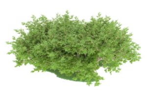 Realistic forest isolated on transparent background. 3d rendering - illustration png