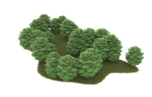 Realistic foliage isolated on transparent background. 3d rendering - illustration png