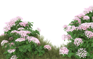 Realistic foliage isolated on transparent background. 3d rendering - illustration png