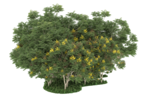 floresta realista isolada em fundo transparente. renderização 3D - ilustração png