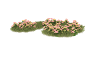 Realistic foliage isolated on transparent background. 3d rendering - illustration png