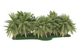 Palm trees isolated on transparent background. 3d rendering - illustration png