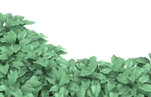 Realistic foliage isolated on transparent background. 3d rendering - illustration png