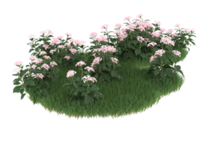 Realistic foliage isolated on transparent background. 3d rendering - illustration png