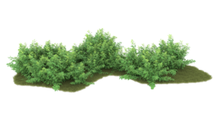 Realistic foliage isolated on transparent background. 3d rendering - illustration png