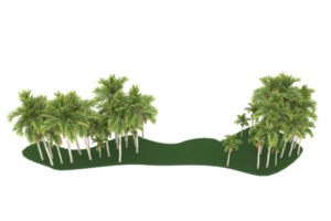 palma alberi isolato su trasparente sfondo. 3d interpretazione - illustrazione png