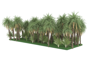 Palm trees isolated on transparent background. 3d rendering - illustration png