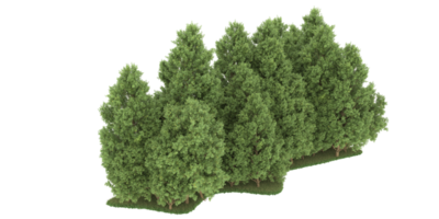 Realistic forest isolated on transparent background. 3d rendering - illustration png