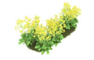 Realistic foliage isolated on transparent background. 3d rendering - illustration png