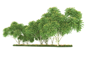 Realistic forest isolated on transparent background. 3d rendering - illustration png