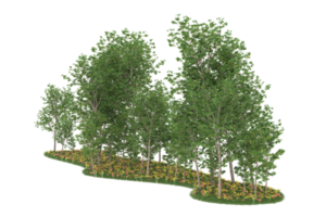 Realistic forest isolated on transparent background. 3d rendering - illustration png