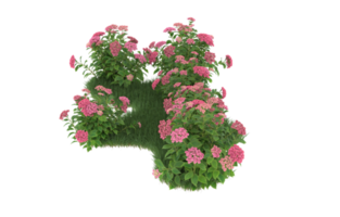 Realistic foliage isolated on transparent background. 3d rendering - illustration png