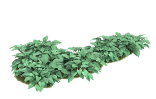 Realistic foliage isolated on transparent background. 3d rendering - illustration png