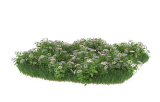 Realistic foliage isolated on transparent background. 3d rendering - illustration png