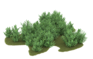 Realistic foliage isolated on transparent background. 3d rendering - illustration png