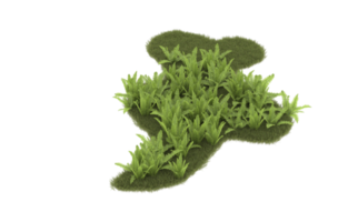 Realistic foliage isolated on transparent background. 3d rendering - illustration png