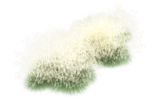 Realistic foliage isolated on transparent background. 3d rendering - illustration png