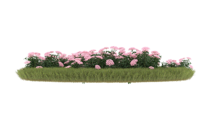 Realistic foliage isolated on transparent background. 3d rendering - illustration png