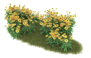 Realistic foliage isolated on transparent background. 3d rendering - illustration png