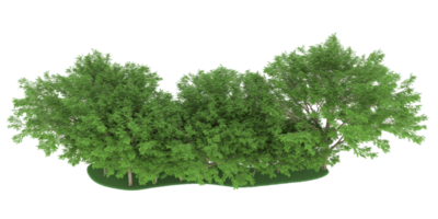 Realistic forest isolated on transparent background. 3d rendering - illustration png