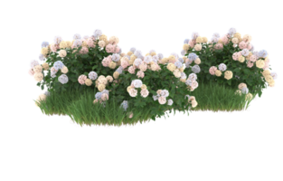 Realistic foliage isolated on transparent background. 3d rendering - illustration png