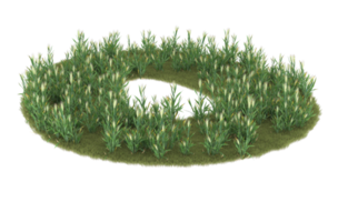 Realistic foliage isolated on transparent background. 3d rendering - illustration png