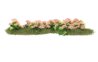 Realistic foliage isolated on transparent background. 3d rendering - illustration png