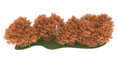 Realistic forest isolated on transparent background. 3d rendering - illustration png