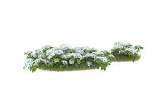 Realistic foliage isolated on transparent background. 3d rendering - illustration png