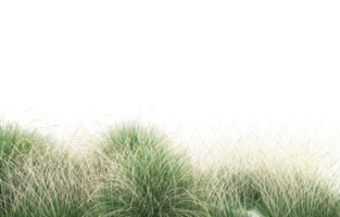 Realistic foliage isolated on transparent background. 3d rendering - illustration png