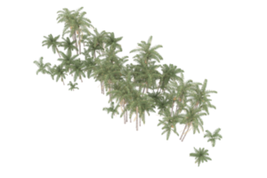 Palm trees isolated on transparent background. 3d rendering - illustration png