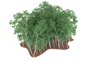 floresta realista isolada em fundo transparente. renderização 3D - ilustração png