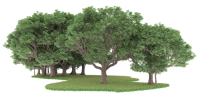 Realistic forest isolated on transparent background. 3d rendering - illustration png
