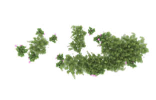 realistisk lövverk isolerat på transparent bakgrund. 3d tolkning - illustration png