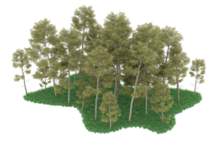 floresta realista isolada em fundo transparente. renderização 3D - ilustração png