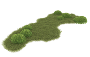 Realistic foliage isolated on transparent background. 3d rendering - illustration png