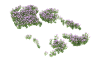 Realistic foliage isolated on transparent background. 3d rendering - illustration png