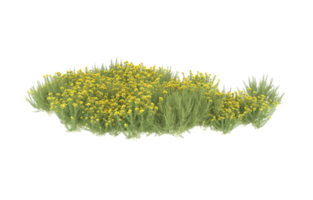 Realistic foliage isolated on transparent background. 3d rendering - illustration png