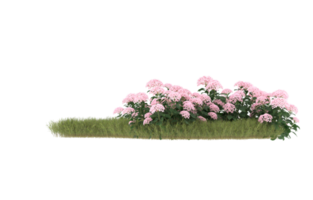 Realistic foliage isolated on transparent background. 3d rendering - illustration png