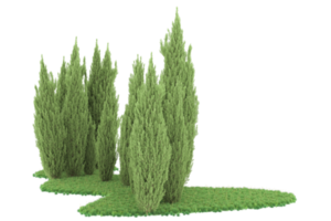 Realistic forest isolated on transparent background. 3d rendering - illustration png