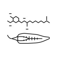 capsaicina pimienta línea icono vector ilustración